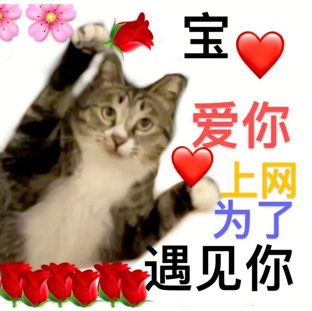 搞怪表情包|啊对对对 敷衍三连