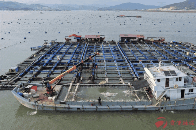 闽海有金鳞,邀你解锁福味密码