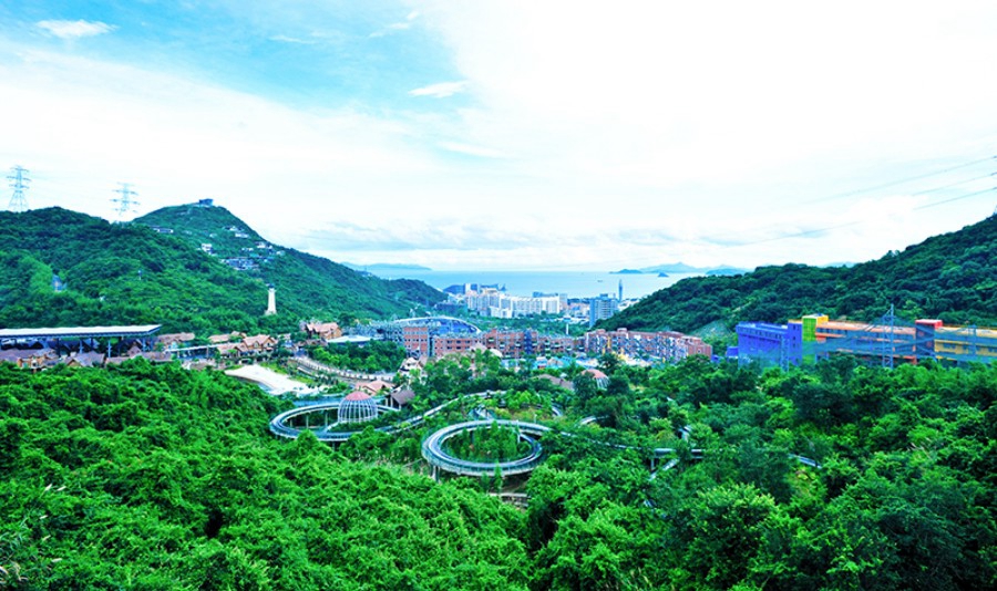 砥砺前行云和月——记广东茂名市电白区政协常委萧钦华