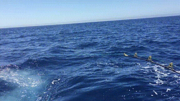 男人为了钓鱼能有多疯狂?在海上漂了10年,解锁上千鱼种成就