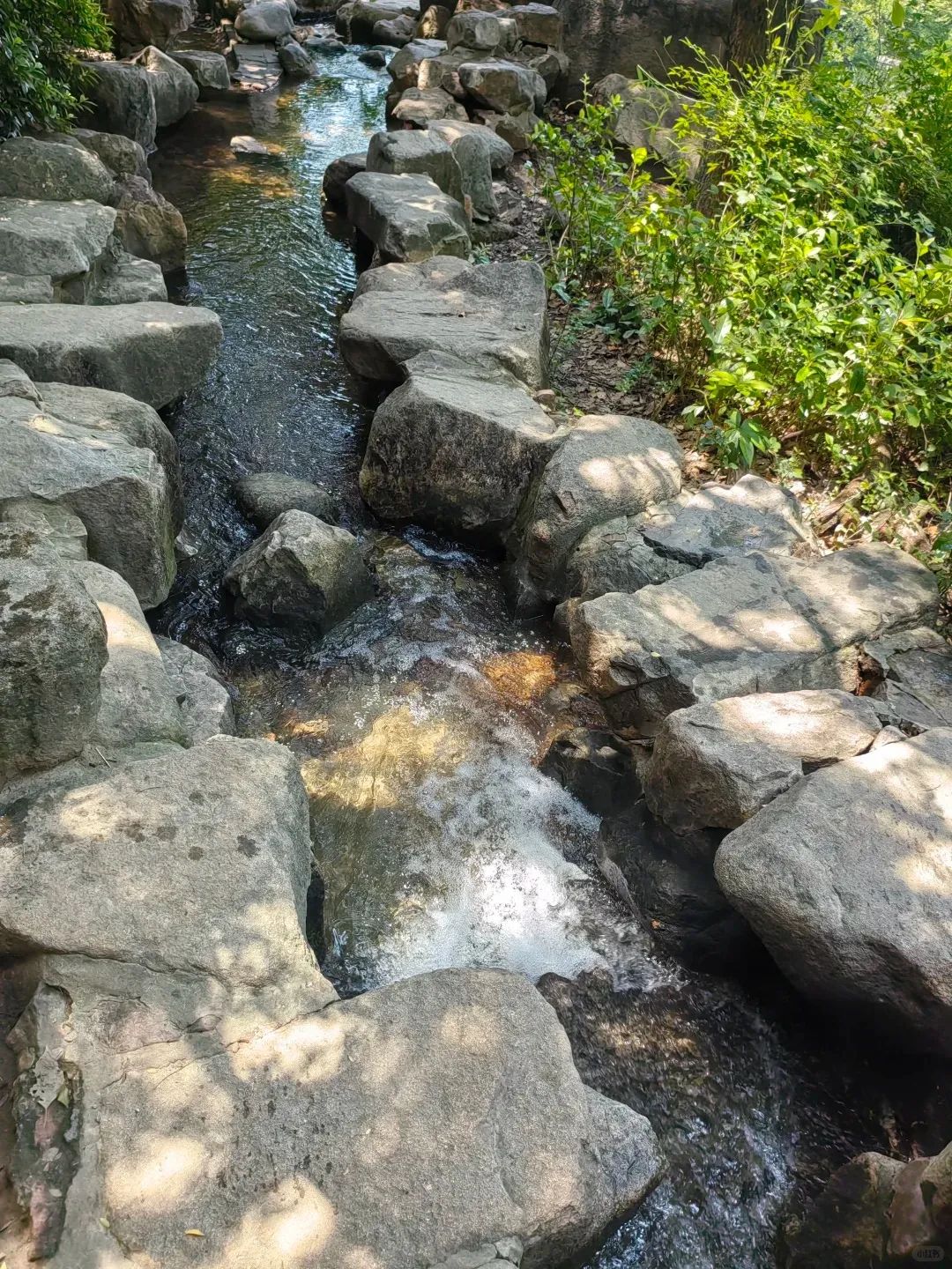 27℃进来划水