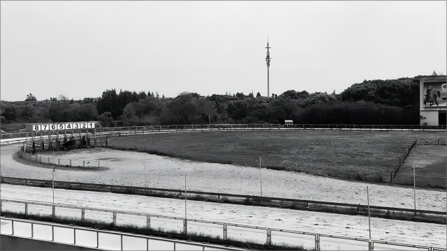 上海滩风云变幻:跑狗场的兴衰