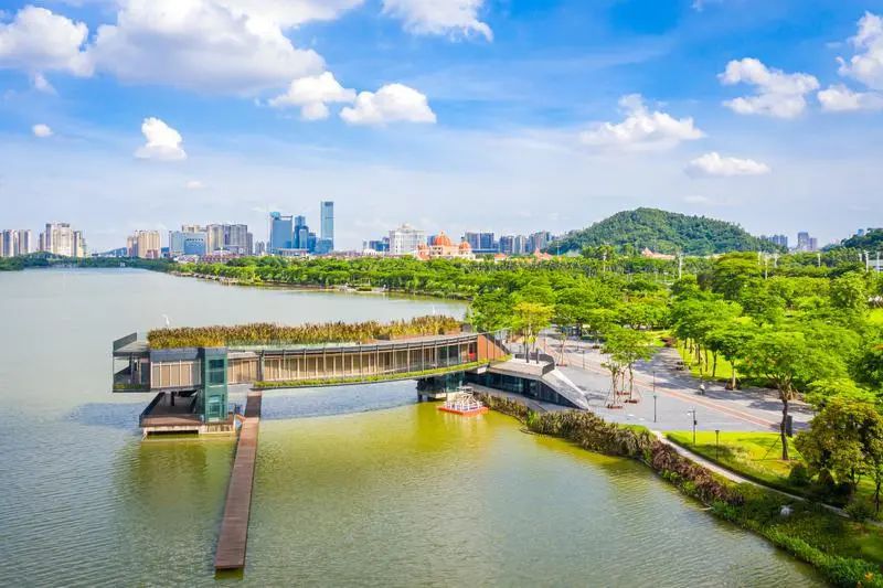 佛山50公里徒步这些宝藏景点等你来打卡