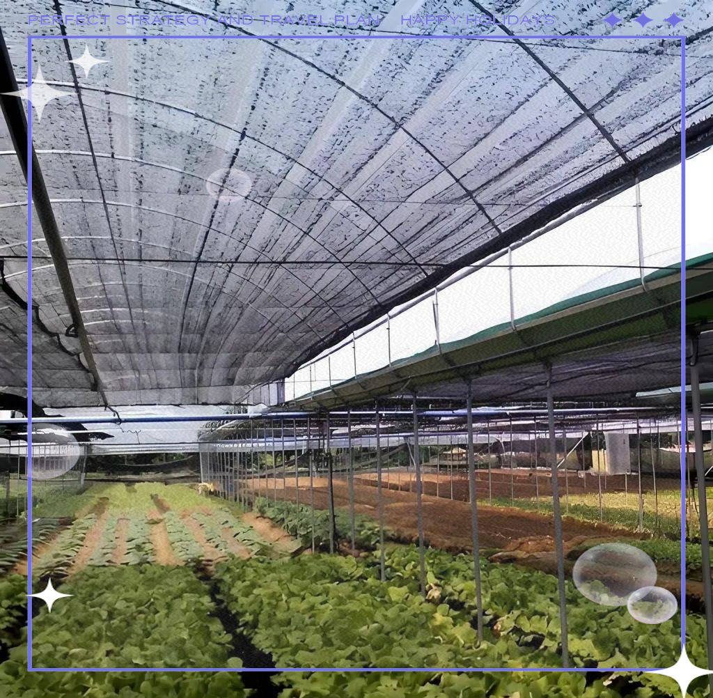 多家遮阳网厂家生产的大棚遮阳网,规格多样,收藏备用,少走弯路