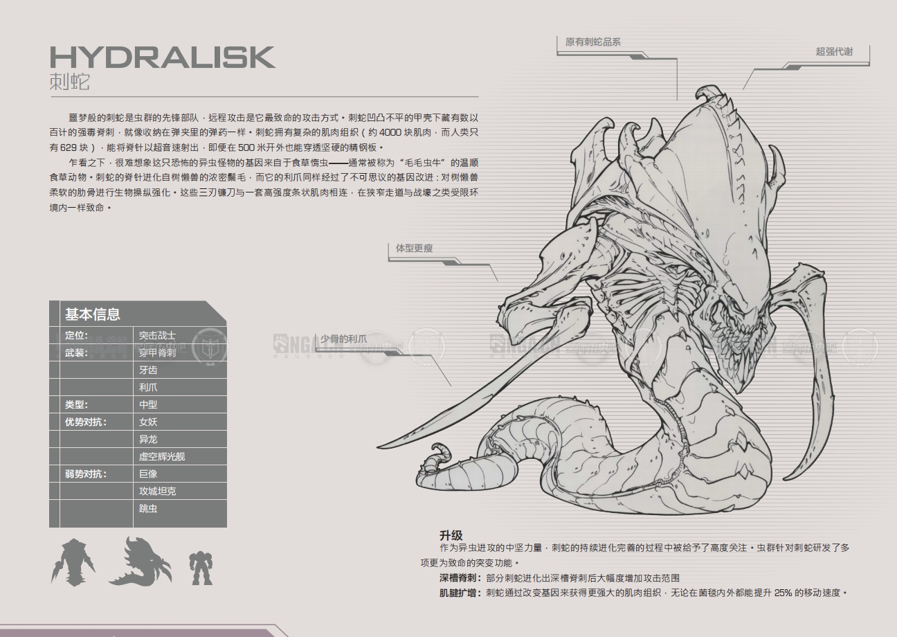 星际争霸虫族科技图解图片