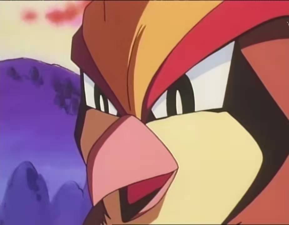 他成了一个遗憾,浅析大比鸟为啥不回归的原因,与小智没多大关系