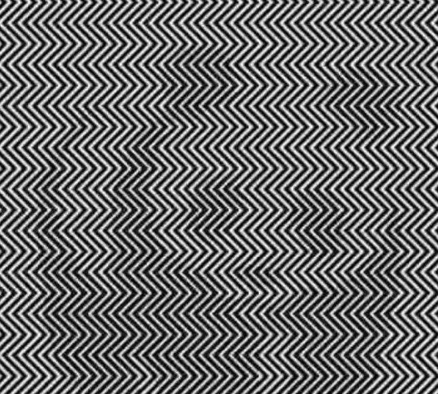 考眼力:你能看出下列图中隐藏的什么动物?