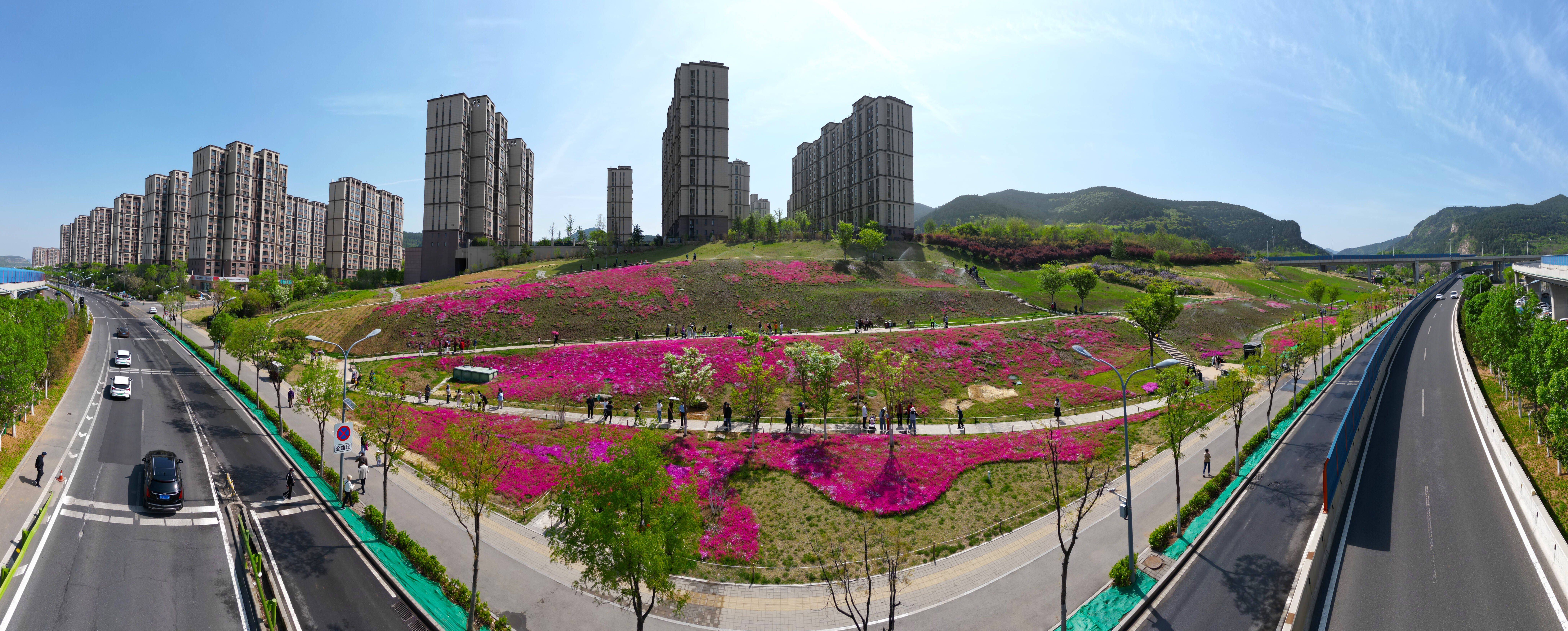 济南龙洞路花海图片