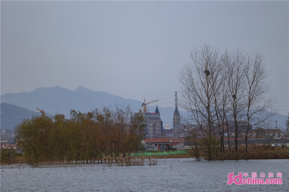 青岛西海岸新区藏马镇:藏马湖秋色斑斓美如画