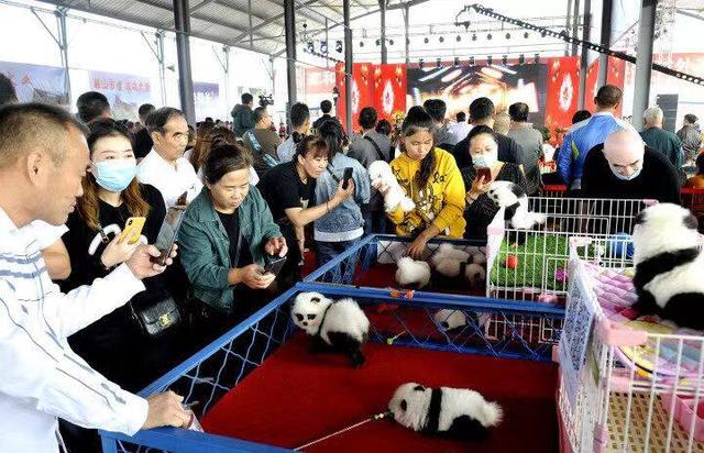 重启!鞍山四大宠物水族交易市场将陆续开放