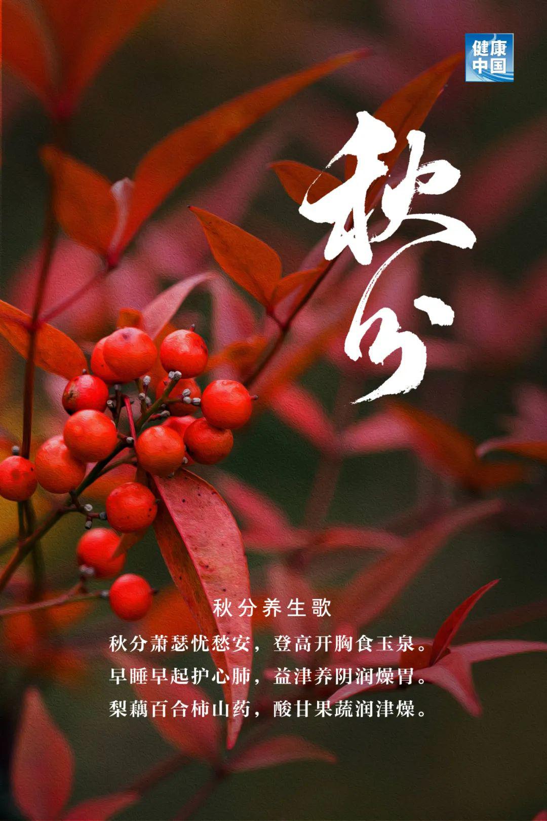 好钓还在菊花黄鲤鱼,喜欢阳光,但怕强光进入秋季,尤其在"秋分"到"寒露