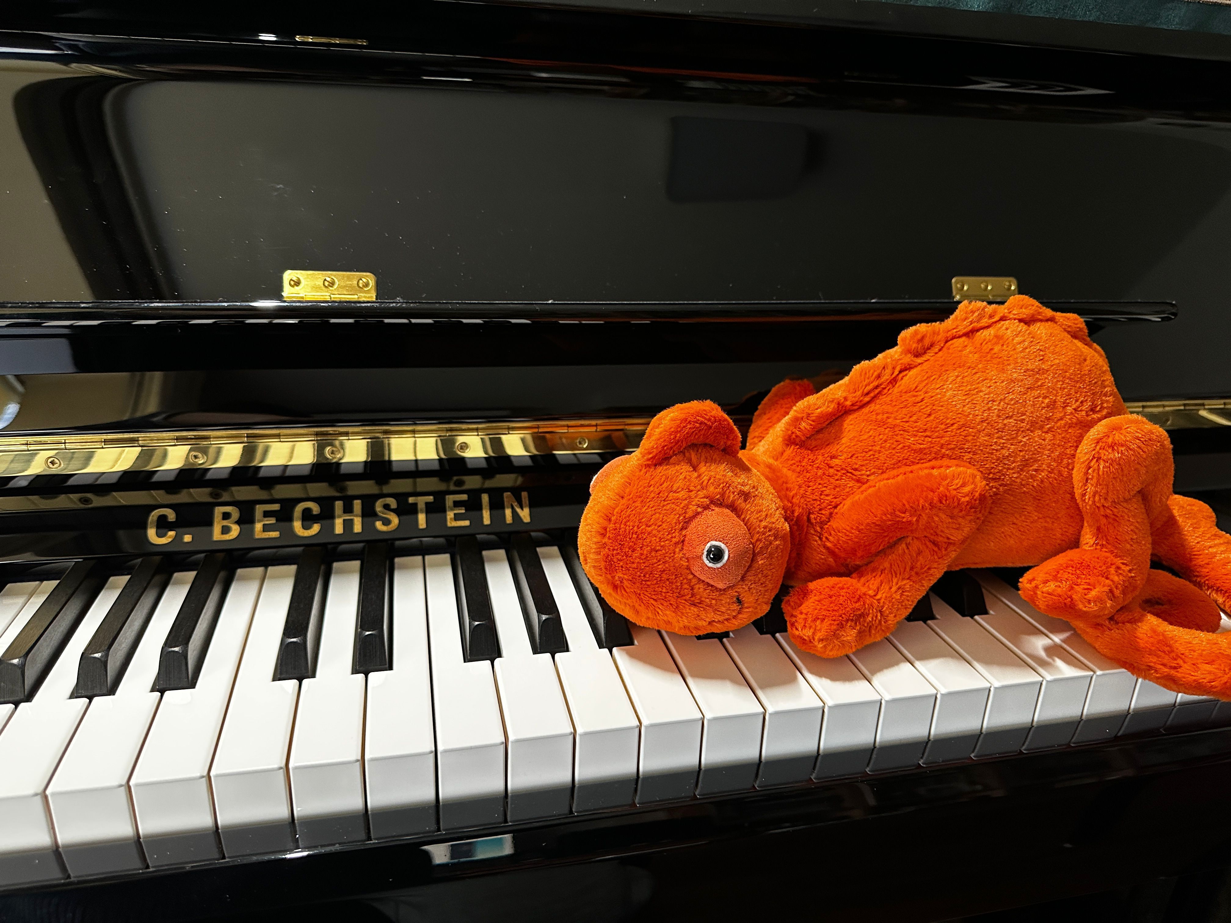 少儿经典钢琴名曲:卡巴列夫斯基《托卡塔》(钢琴演奏:赵健)