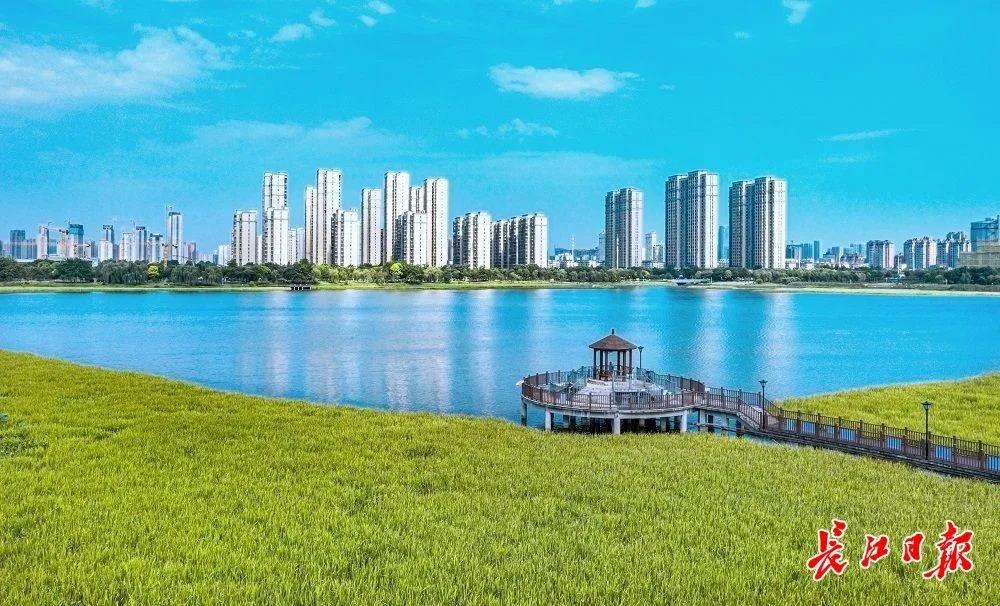 武汉杨春湖畔图片