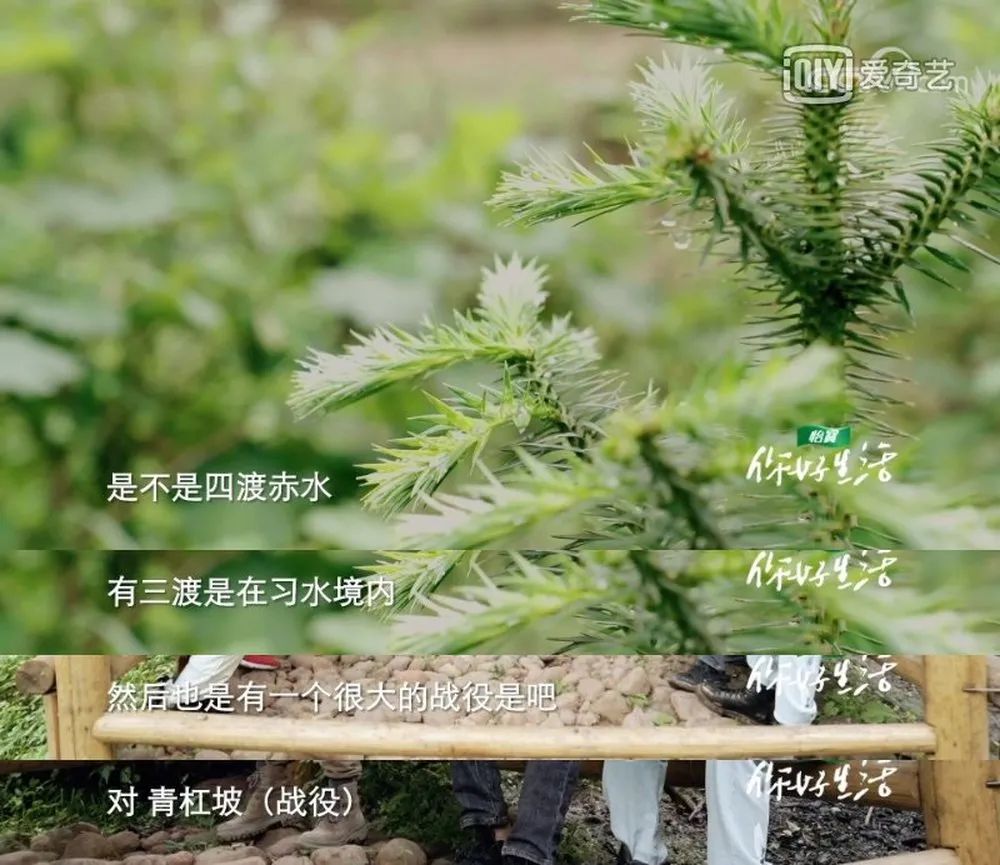 《你好生活》贵州遵义站,美并美味,必须值得一去!