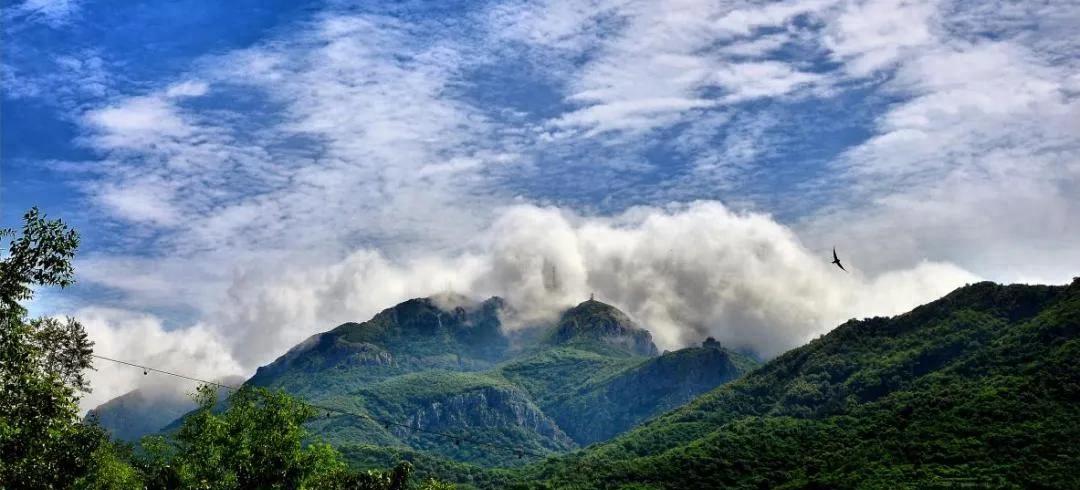 北票大黑山森林公园图片