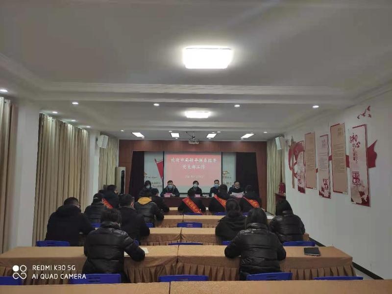 叶林霞同志到党支部工作联系点参加主题党日活动