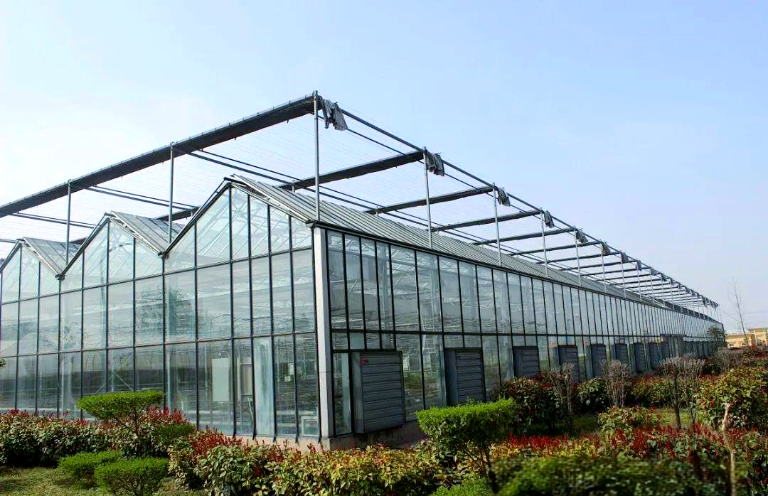 玻璃温室大棚农业产业园所需设施概述
