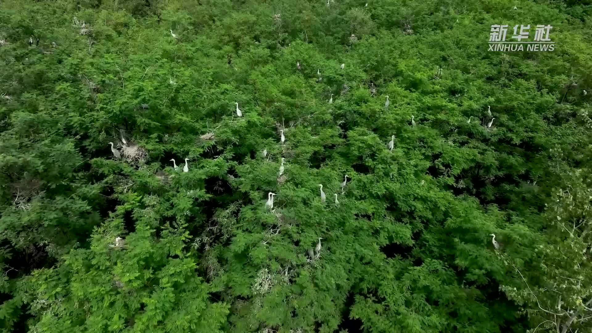 稽东青山城图片