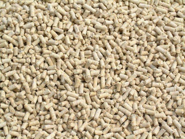 鸭饲料打窝效果怎么样,明白这三个特性,就不会再买其他的窝料了