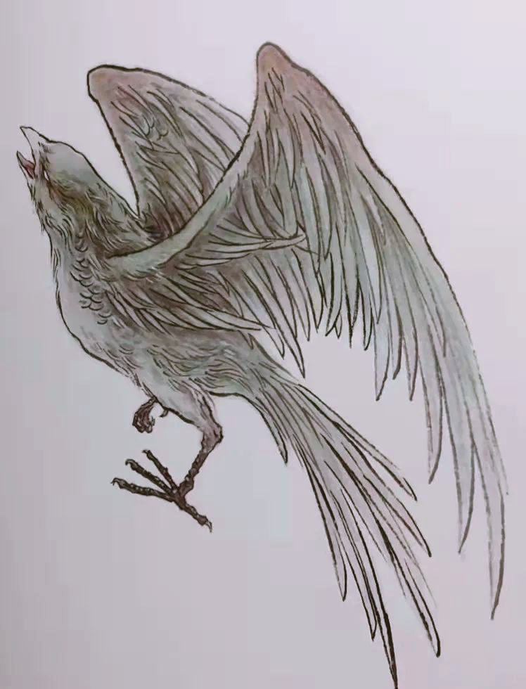 神话中的青耕鸟:瘟疫的守护者与传播者