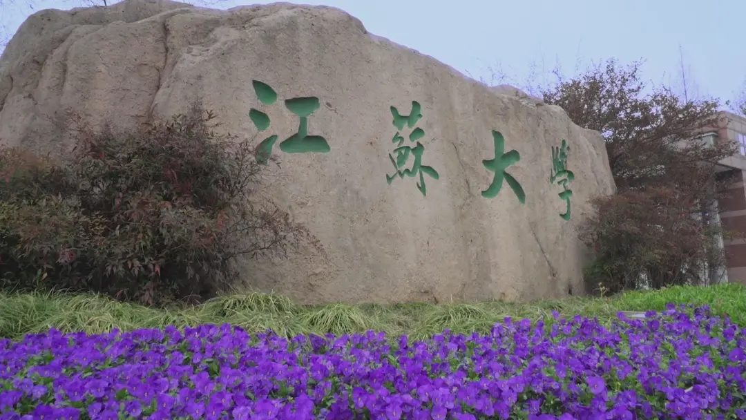 江苏大学校本部入侵植物名录