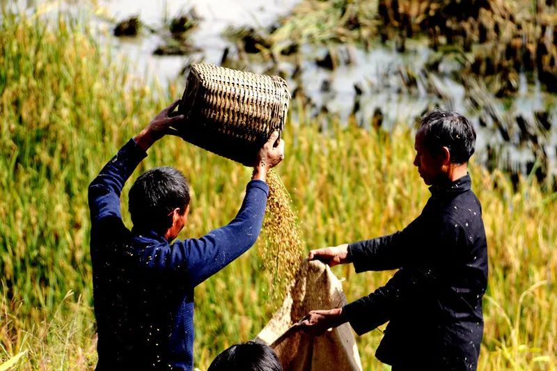 嗨!我们的哈尼梯田登上人民日报,更大的惊喜是