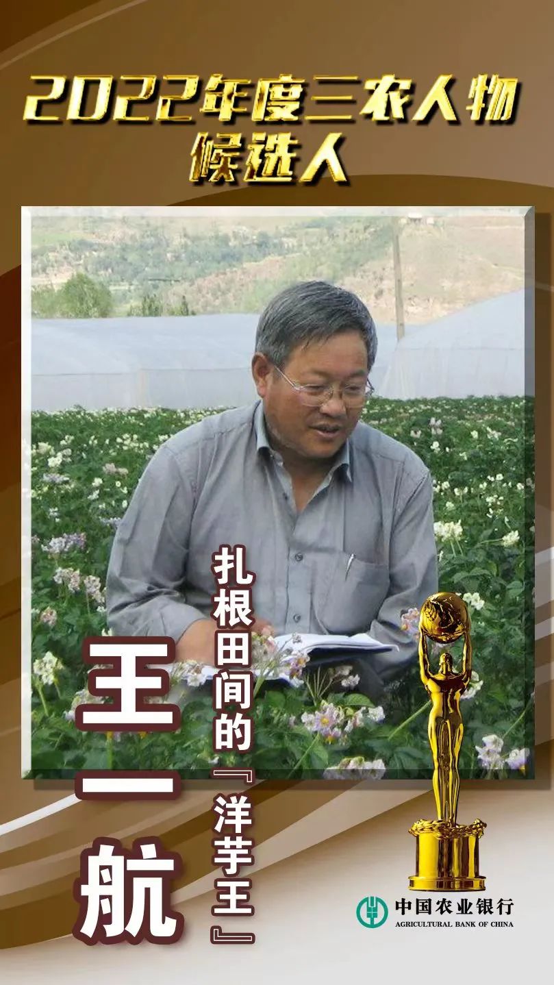 王一航:扎根田间的"洋芋王"丨2022年度三农人物候选人推介