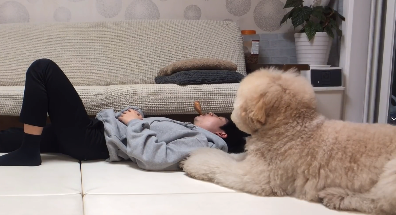 主人把鸡腿放在嘴里假装睡觉,狗狗的反应太暖心了,毛孩子真懂事