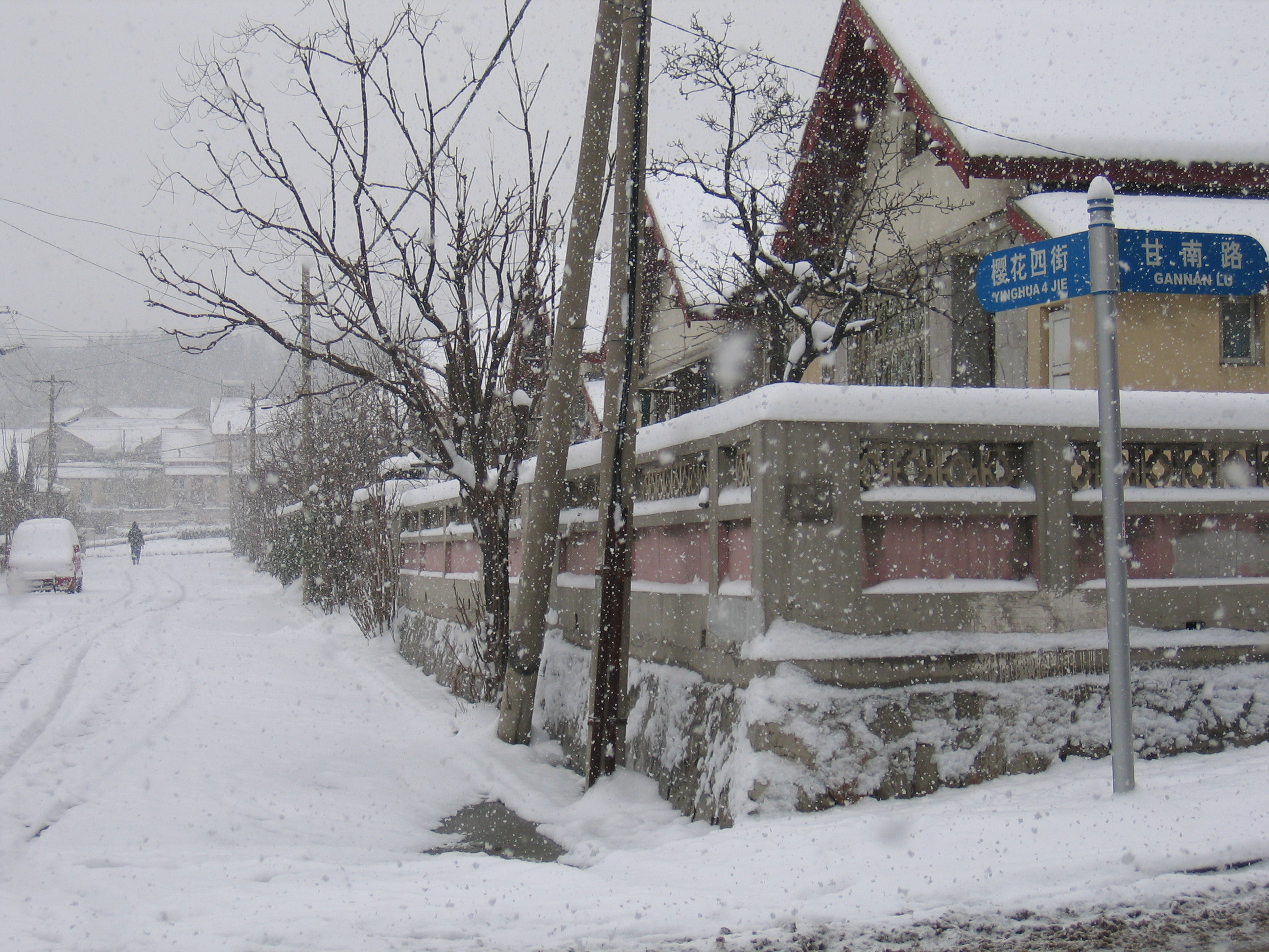 老照片2005大连甘井子樱花街(圈里——大化一宿舍)小编c723船船老长