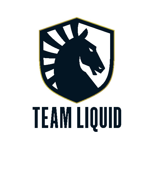 「csgo」液体是哪个战队?