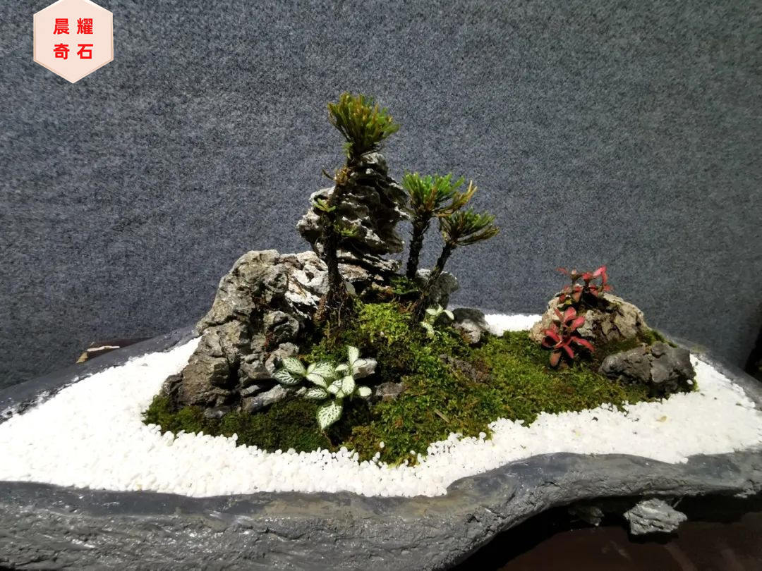 广东小型青龙石,假山盆景制作石料