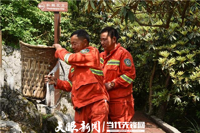 "护花使者"林锡斌:十年如一日守护者世界上最大的天然花园