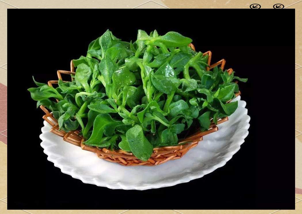 田七苗的多样功效与食用方法