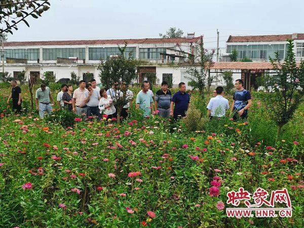 周道锋一行到新蔡县顿岗乡观摩学习人居环境和产业发展工作