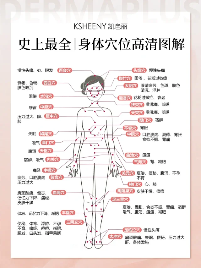 人体经络图十二经络app图片