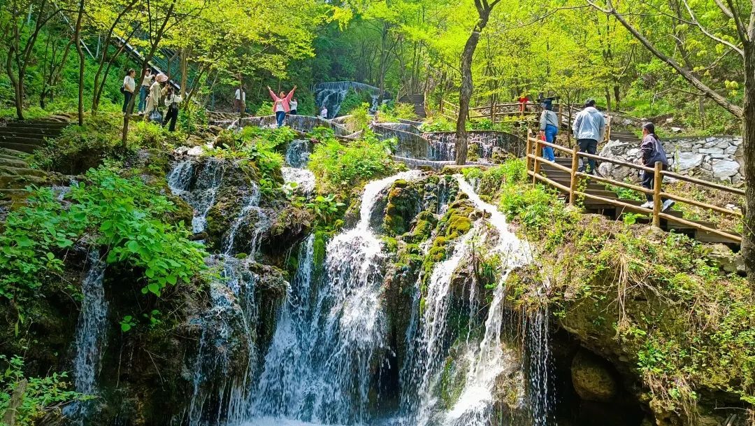 清风凉泉度夏日,洛阳王府竹海景区25℃的夏天专治高温!
