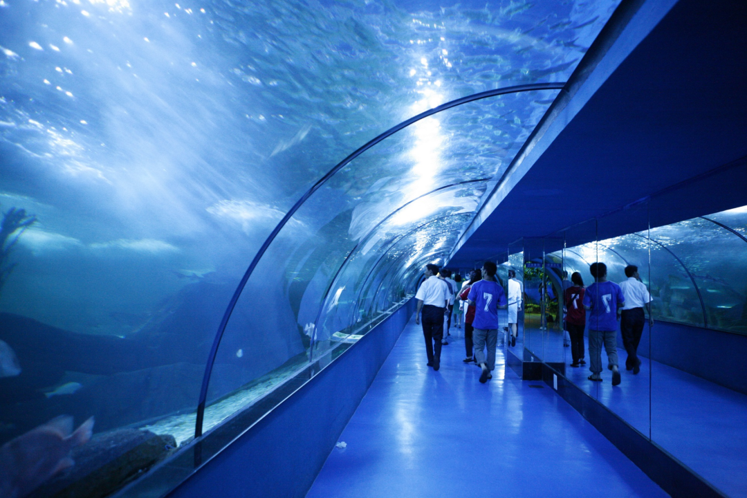 3天2夜玩转烟台这个宝藏打卡地!照着玩就够了!