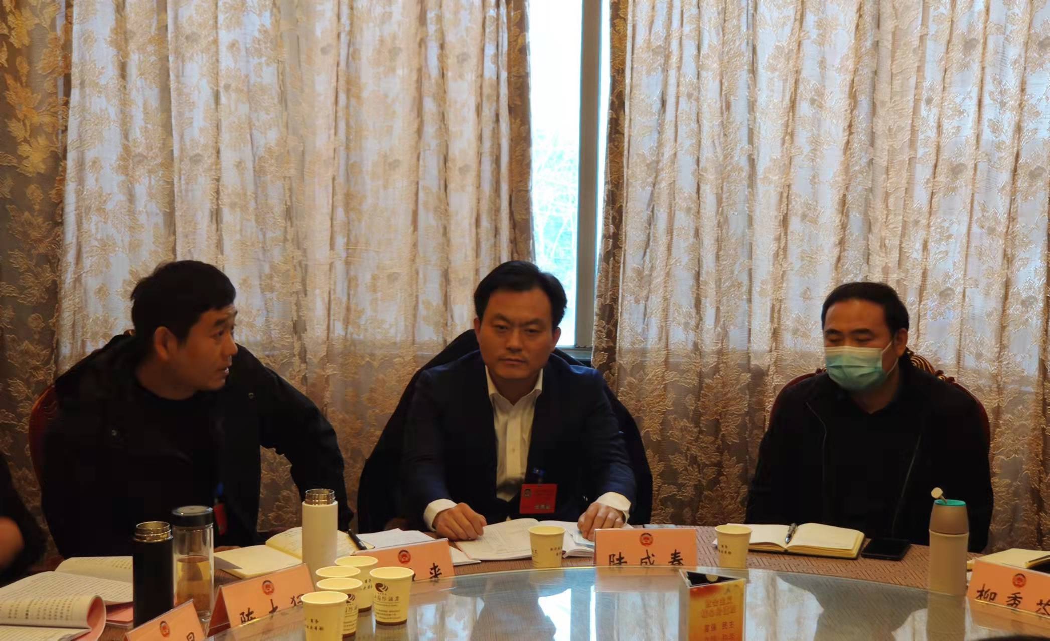 新沂市委常委,统战部部长陆成春参加政协十一届一次会议特邀界二组