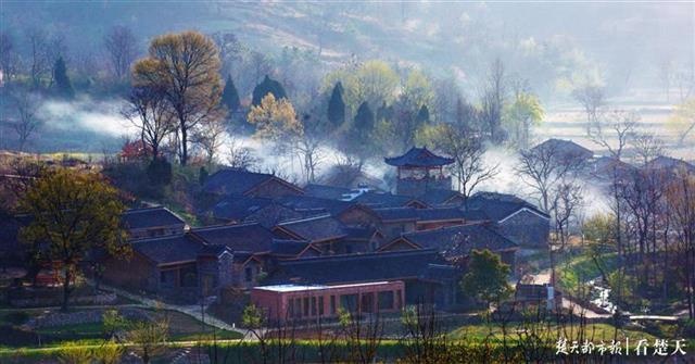大悟县新城镇金岭村:从贫困村到美丽乡村的完美蜕变