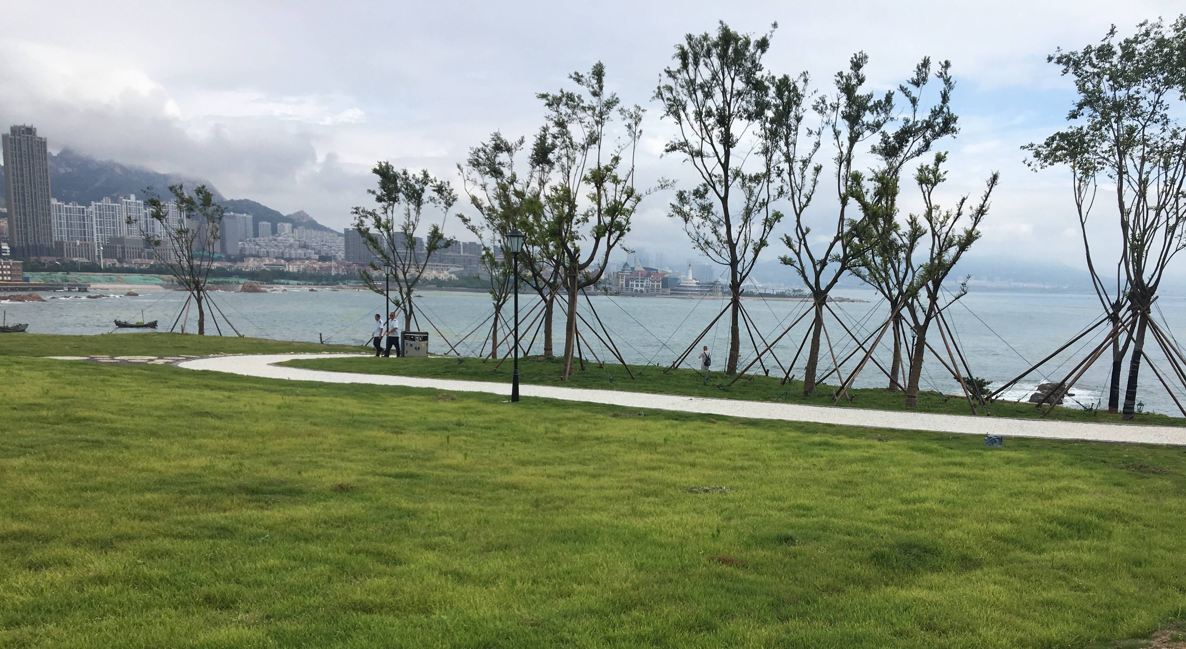 由"破败渔村"到"海洋之心"!青岛崂山网红打卡地小麦岛这样涅槃重生