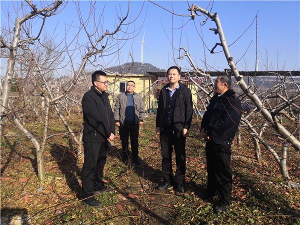 平阴县东阿镇:"第一书记"请专家,做好果农"充电宝"