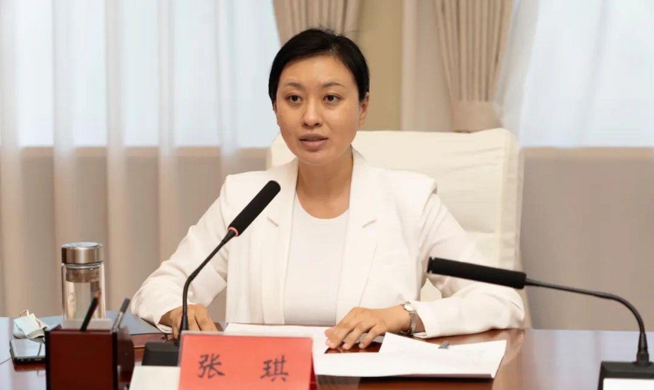 河北怀来县县长张琪在主持会议
