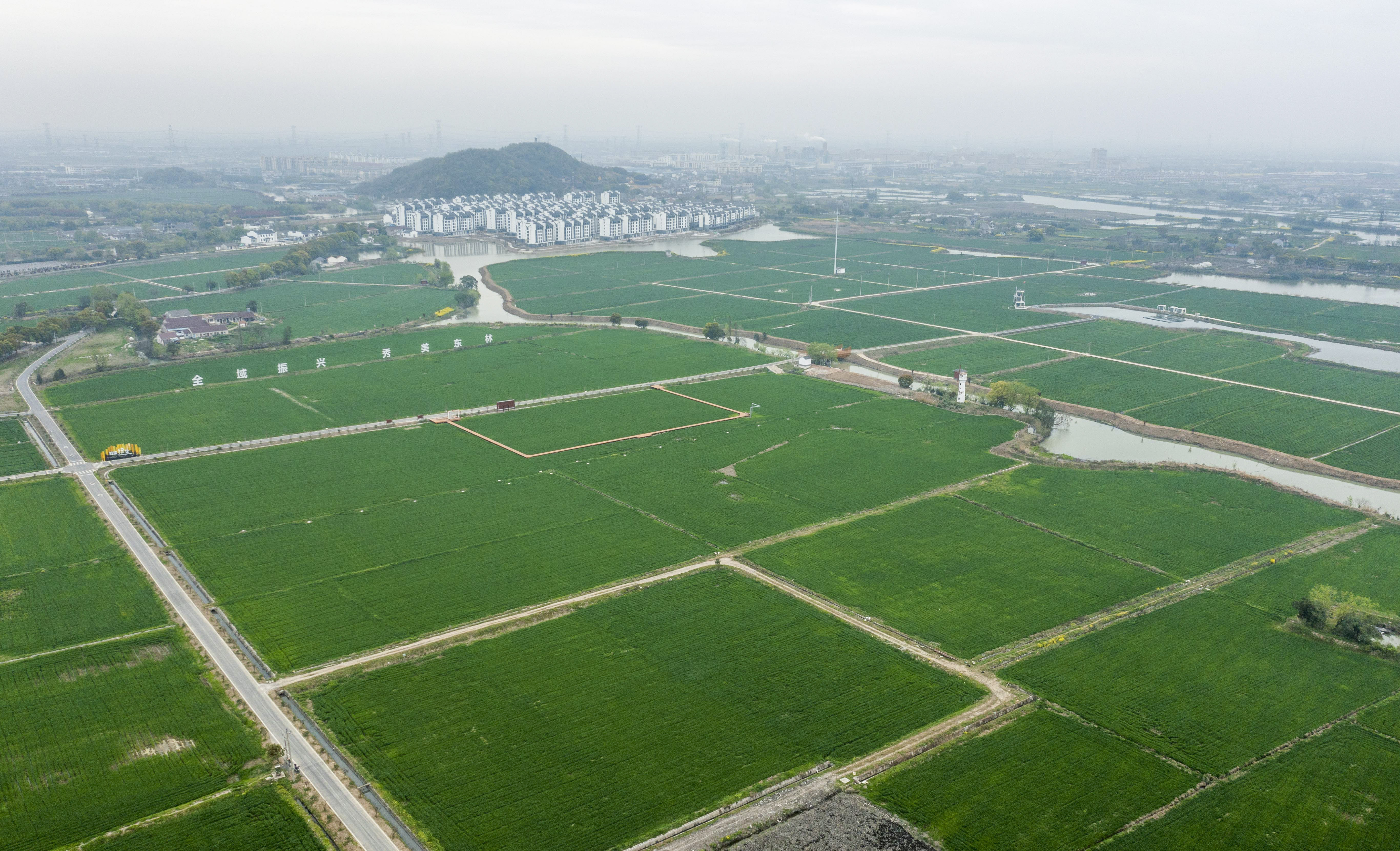 (经济)浙江湖州:全域土地综合整治助力美丽乡村建设