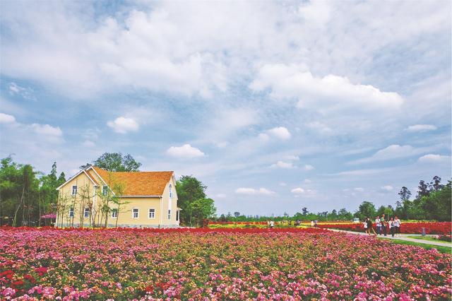 友爱镇:打造时尚文旅小镇"农家乐"换装"时尚范"