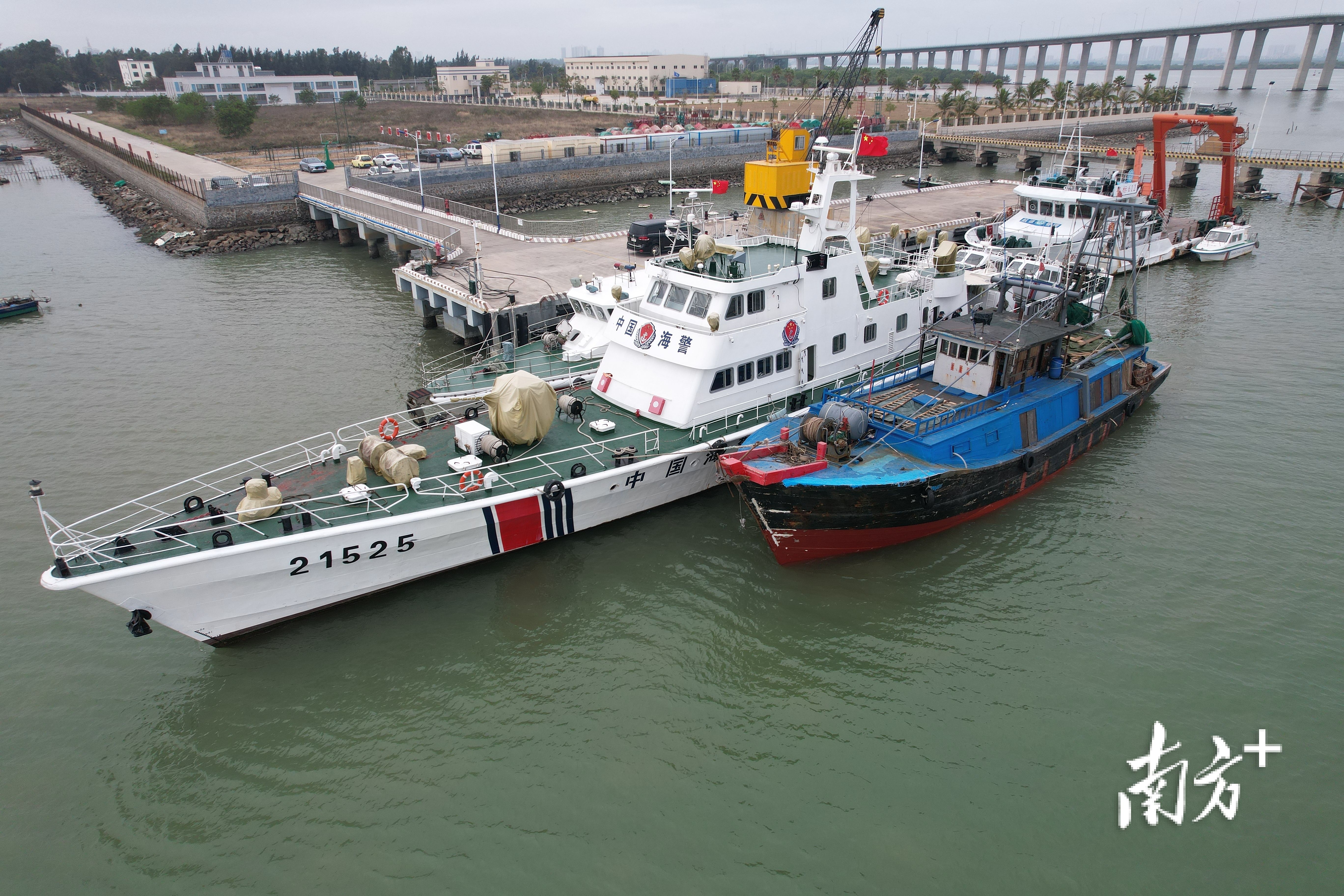 广东茂名海警局4天查获2起海上违法案件,查获走私冻品28吨