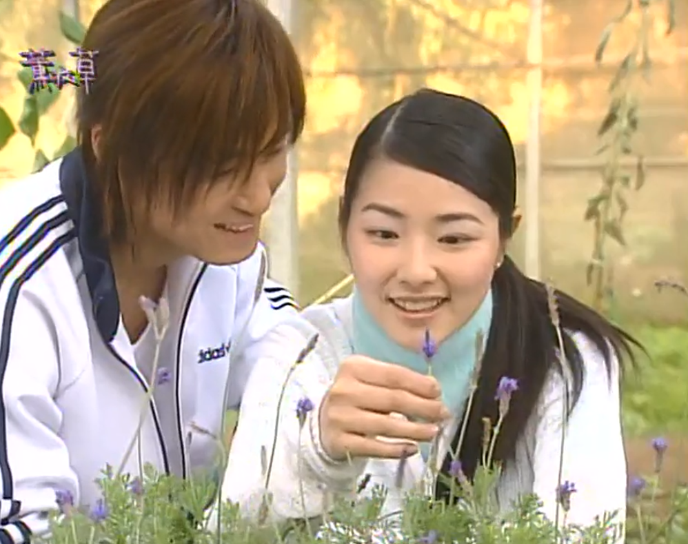 台湾偶像剧《薰衣草》季晴川的扮演者许绍洋演唱主题曲《花香》