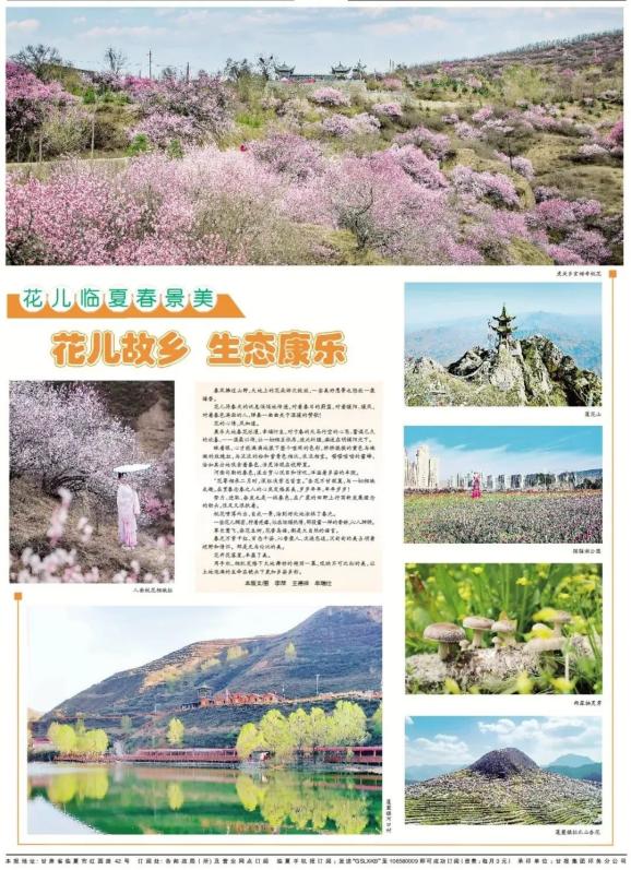 花儿临夏春景美