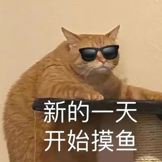 表情包:新的一天 开始摸鱼