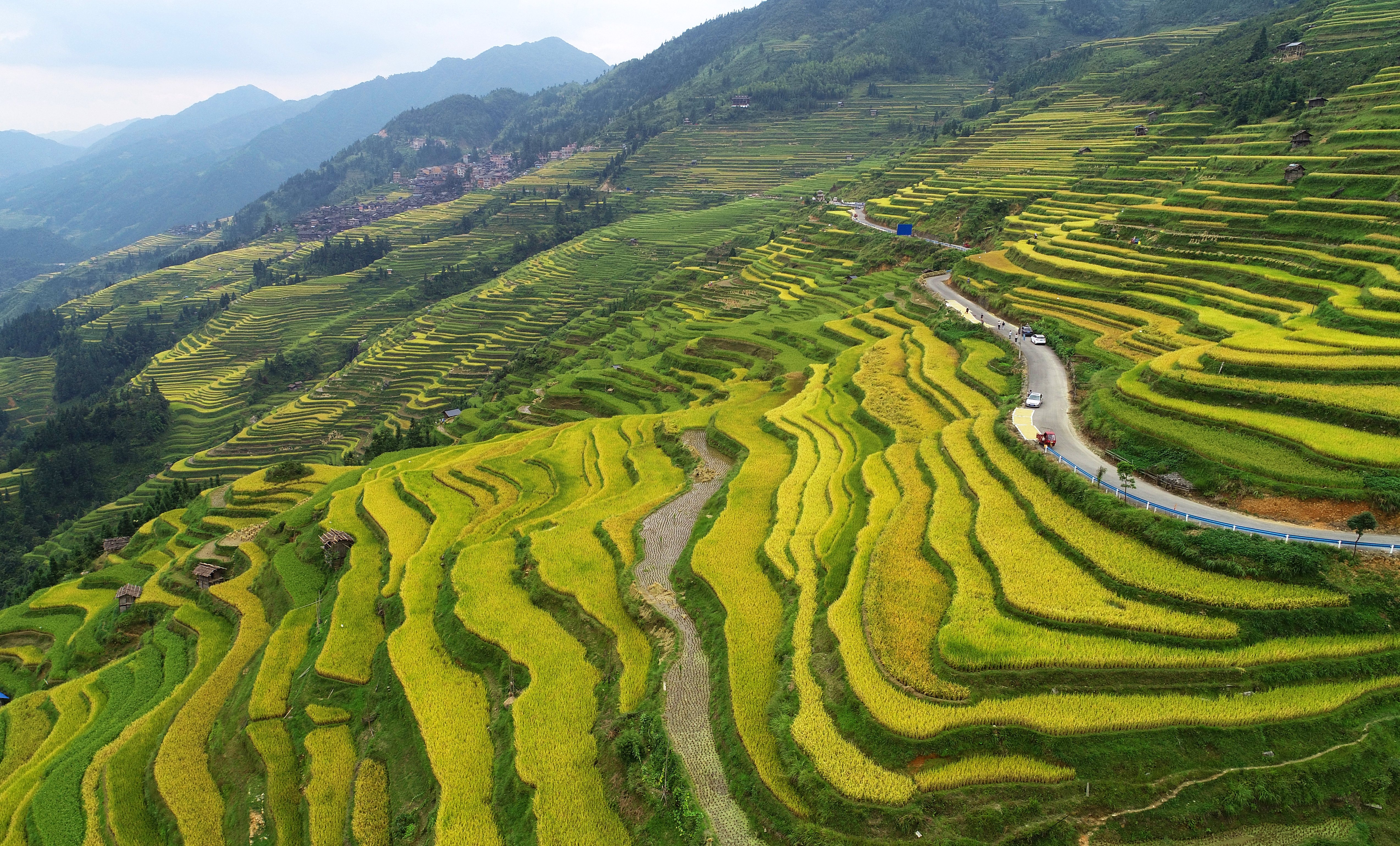 多彩秋色|"大地的指纹"——从江加榜梯田