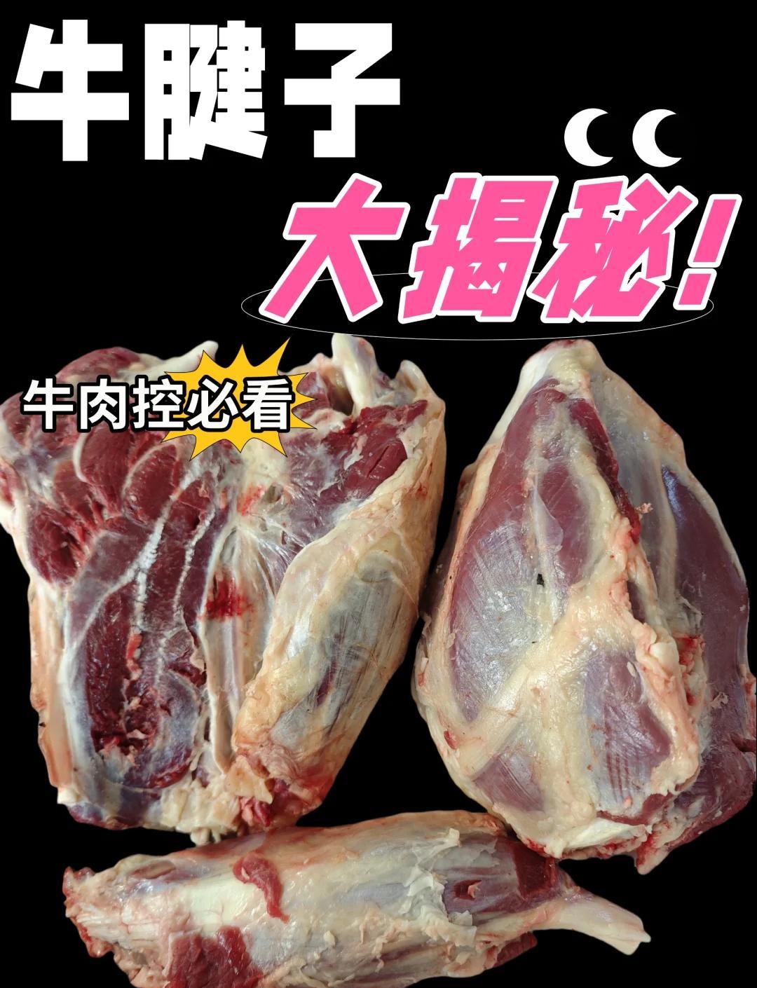 牛身上的部位大全图解